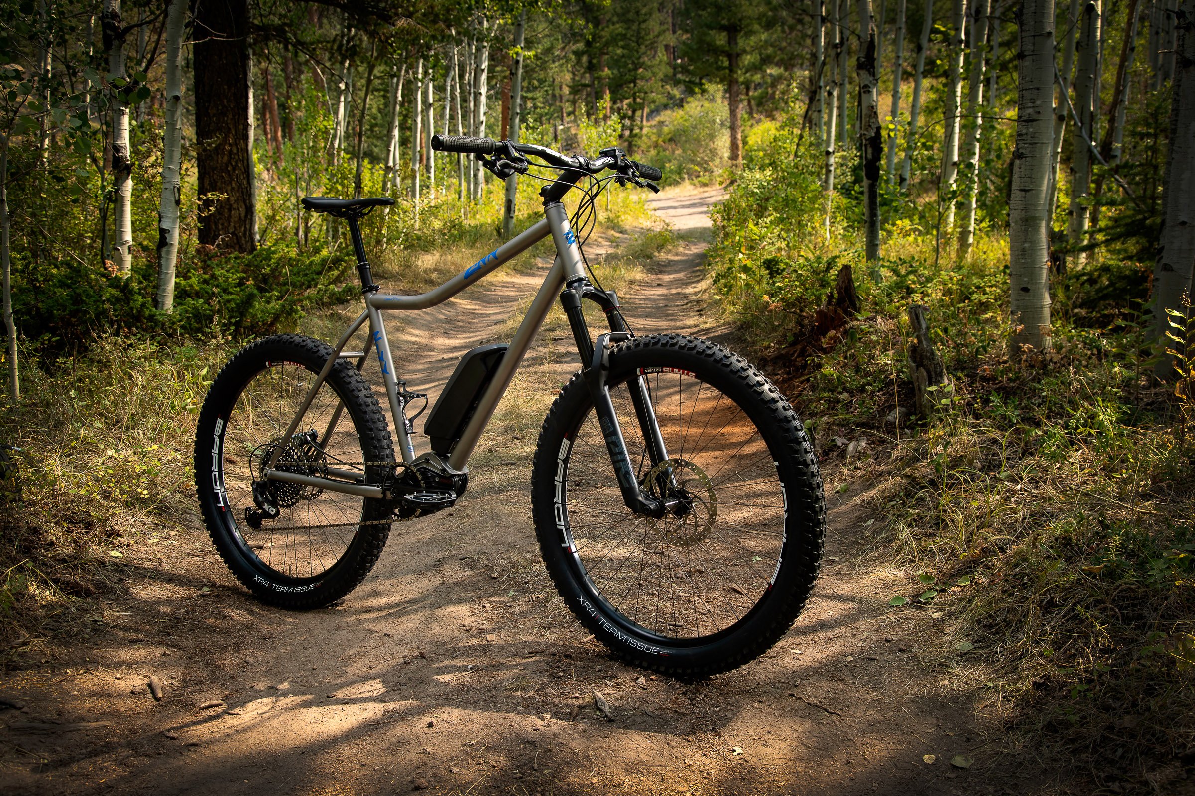 Zinn-Ebike-Benioff-eMTB-WEB-02