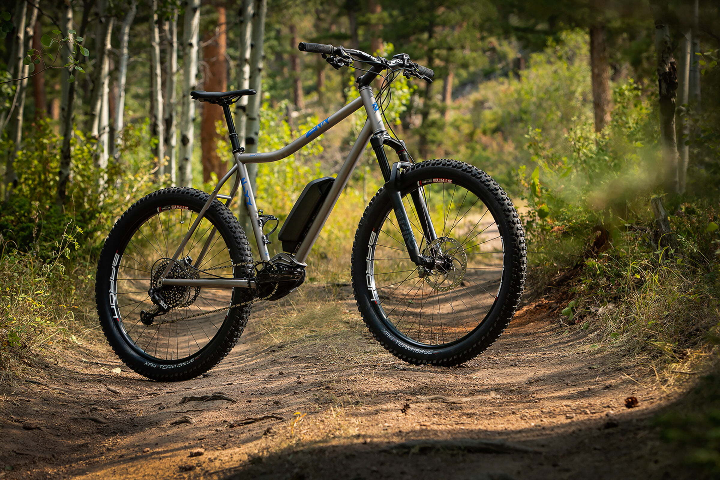 Zinn-Ebike-Benioff-eMTB-WEB-04